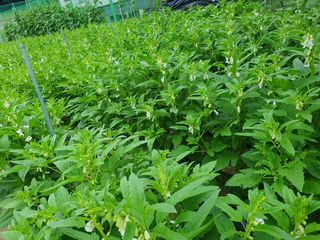 낙엽교목류13198님의 🎉상반기 결산 자랑하기 · 참여글 작성글 사진