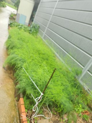 낙엽교목류13198님의 🎉상반기 결산 자랑하기 · 참여글 작성글 사진