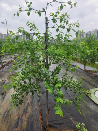 소아님의 🎉상반기 결산 자랑하기 · 참여글 작성글 사진