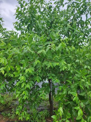 소아님의 🎉상반기 결산 자랑하기 · 참여글 작성글 사진