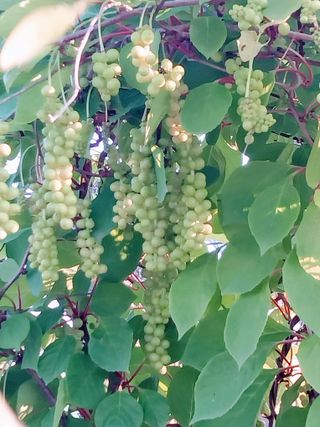 정완규님의 🎉상반기 결산 자랑하기 · 참여글 작성글 사진