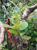 팜모닝 🎉상반기 결산 자랑하기·참여글 게시글 이미지