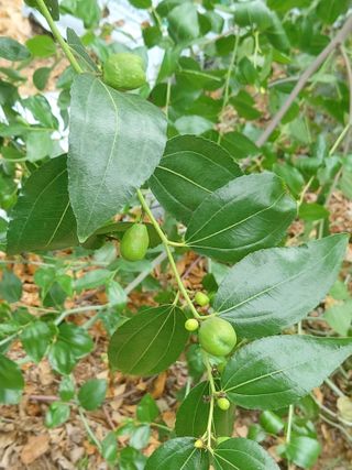 최광연님의 자유주제 · 자유게시판 작성글 사진