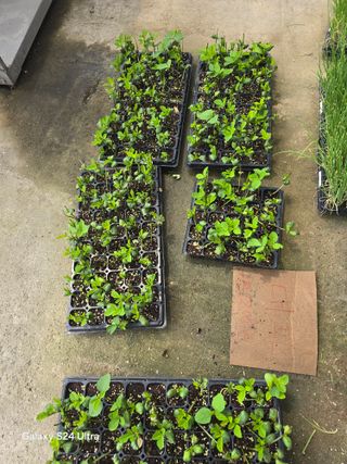 청계닭님의 🎉상반기 결산 자랑하기 · 참여글 작성글 사진