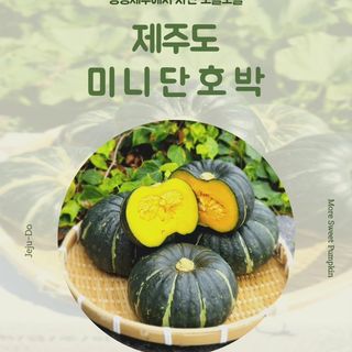 제주부자팜님의 작성글 사진