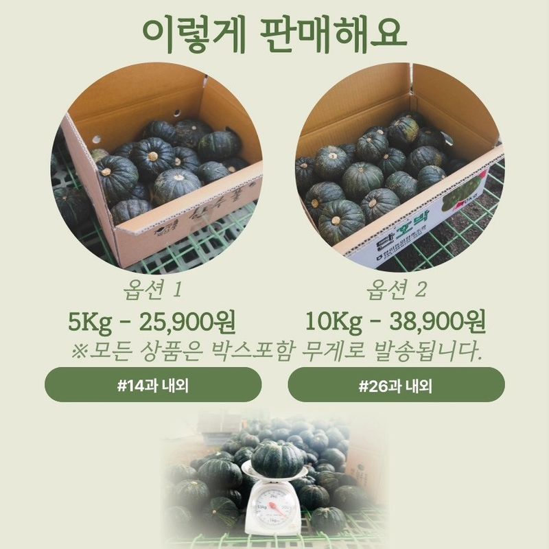 제주부자팜님의 장터 판매 상품 [제주미니단호박 5k 10k] 첨부 사진