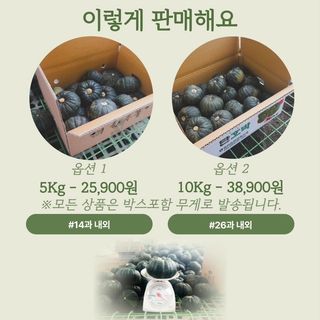 제주부자팜님의 작성글 사진