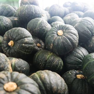 제주부자팜님의 작성글 사진