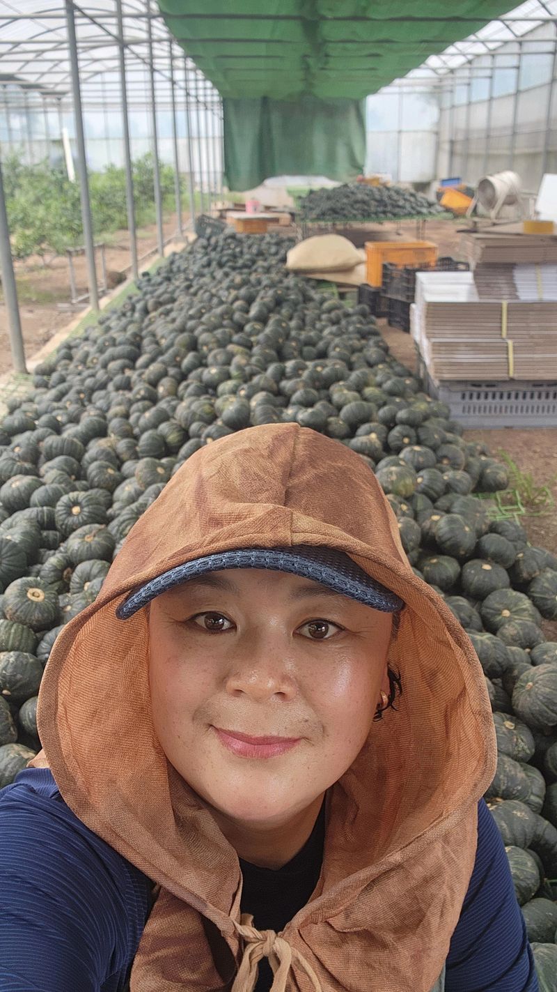 제주부자팜님의 장터 판매 상품 [제주미니단호박 5k 10k] 첨부 사진