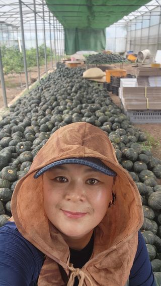 제주부자팜님의 작성글 사진
