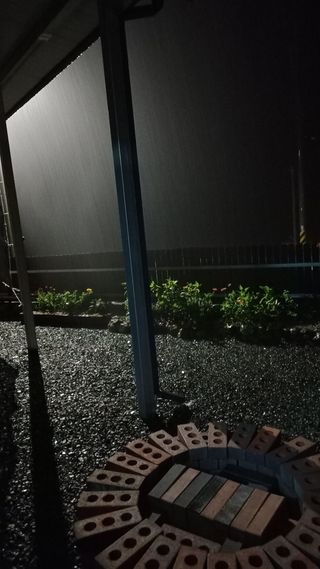 이종한님의 자유주제 · 자유게시판 작성글 사진