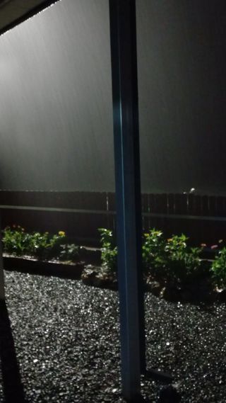 이종한님의 자유주제 · 자유게시판 작성글 사진