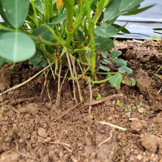 이종권님의 자유주제 · 자유게시판 작성글 사진