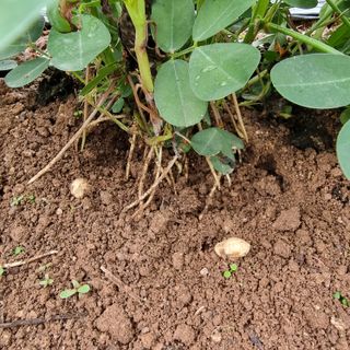 이종권님의 자유주제 · 자유게시판 작성글 사진