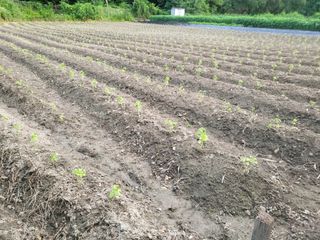 박천규 님의 🎉상반기 결산 자랑하기 · 참여글 작성글 사진