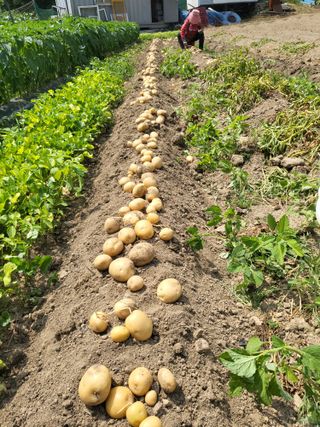 박천규 님의 🎉상반기 결산 자랑하기 · 참여글 작성글 사진