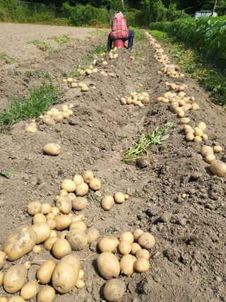 박천규 님의 🎉상반기 결산 자랑하기 · 참여글 작성글 사진