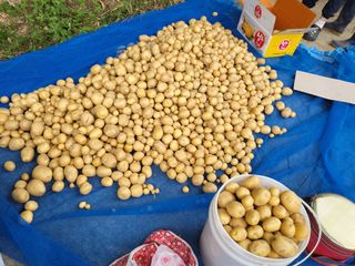 박천규 님의 🎉상반기 결산 자랑하기 · 참여글 작성글 사진