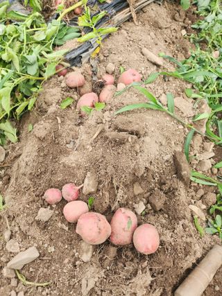 미순님의 🎉상반기 결산 자랑하기 · 참여글 작성글 사진