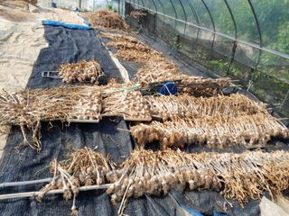 김영례님의 🎉상반기 결산 자랑하기 · 참여글 작성글 사진