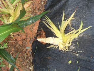 육일님의 자유주제 · 자유게시판 작성글 사진