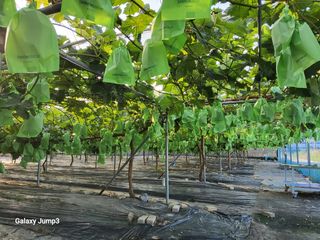 서경진님의 🎉상반기 결산 자랑하기 · 참여글 작성글 사진
