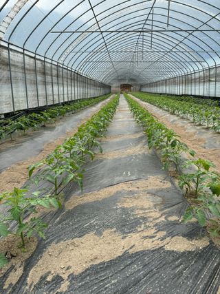 연재홍님의 🎉상반기 결산 자랑하기 · 참여글 작성글 사진