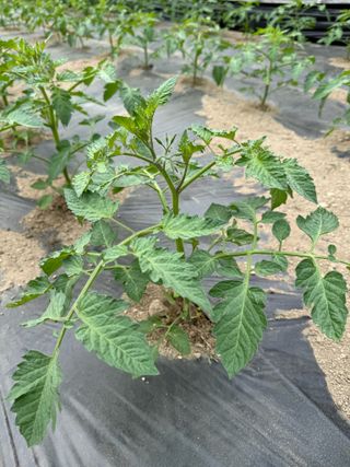 연재홍님의 🎉상반기 결산 자랑하기 · 참여글 작성글 사진