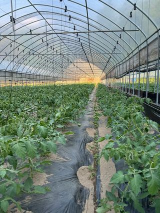 연재홍님의 🎉상반기 결산 자랑하기 · 참여글 작성글 사진