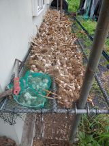 팜모닝 마늘·영농일지 게시글 이미지