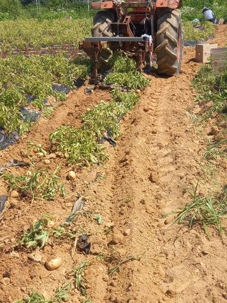 Happy100w님의 🎉상반기 결산 자랑하기 · 참여글 작성글 사진