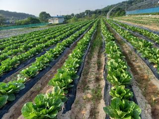 Happy100w님의 🎉상반기 결산 자랑하기 · 참여글 작성글 사진