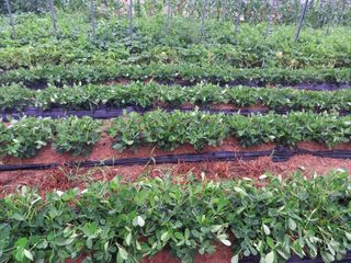 Happy100w님의 🎉상반기 결산 자랑하기 · 참여글 작성글 사진