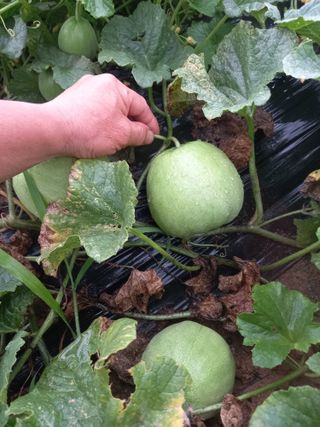 Happy100w님의 🎉상반기 결산 자랑하기 · 참여글 작성글 사진