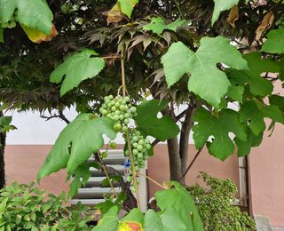 청마산내들님의 🎉상반기 결산 자랑하기 · 참여글 작성글 사진