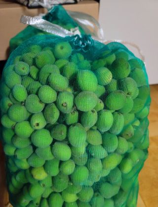 신선옥님의 복숭아 · 영농일지 작성글 사진