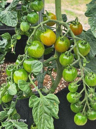 지리산의작은거인님의 🎉상반기 결산 자랑하기 · 참여글 작성글 사진