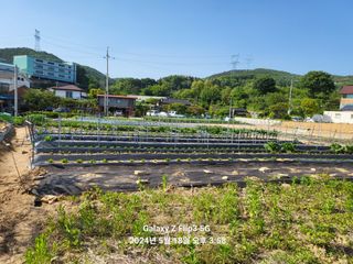 이균행님의 🎉상반기 결산 자랑하기 · 참여글 작성글 사진