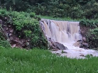 박명자님의 자유주제 · 자유게시판 작성글 사진