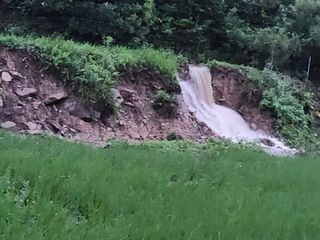 박명자님의 자유주제 · 자유게시판 작성글 사진