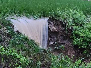 박명자님의 자유주제 · 자유게시판 작성글 사진