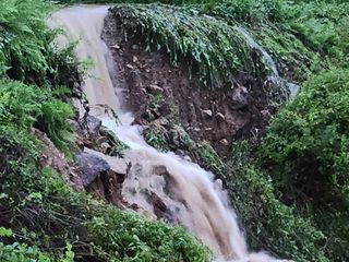 박명자님의 자유주제 · 자유게시판 작성글 사진