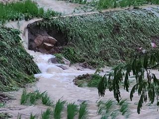 박명자님의 자유주제 · 자유게시판 작성글 사진