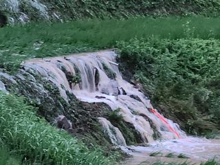 박명자님의 자유주제 · 자유게시판 작성글 사진