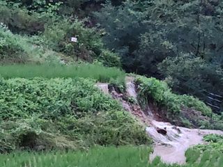 박명자님의 자유주제 · 자유게시판 작성글 사진