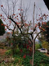 팜모닝 자유주제·자유게시판 게시글 이미지