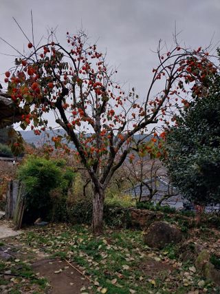 홍재두51년생님의 자유주제 · 자유게시판 작성글 사진