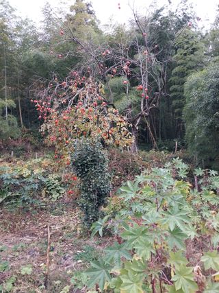 홍재두51년생님의 자유주제 · 자유게시판 작성글 사진