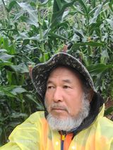 팜모닝 옥수수·영농일지 게시글 이미지