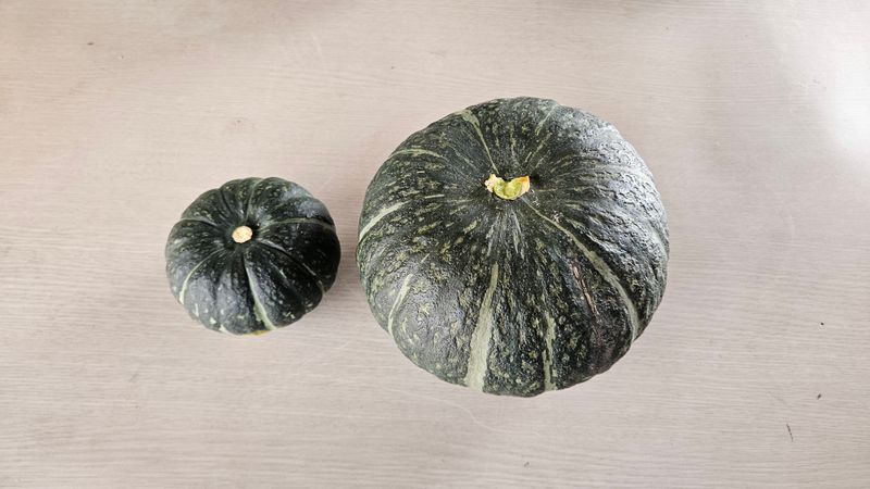 장터 상품 [못난이단호박] 썸네일